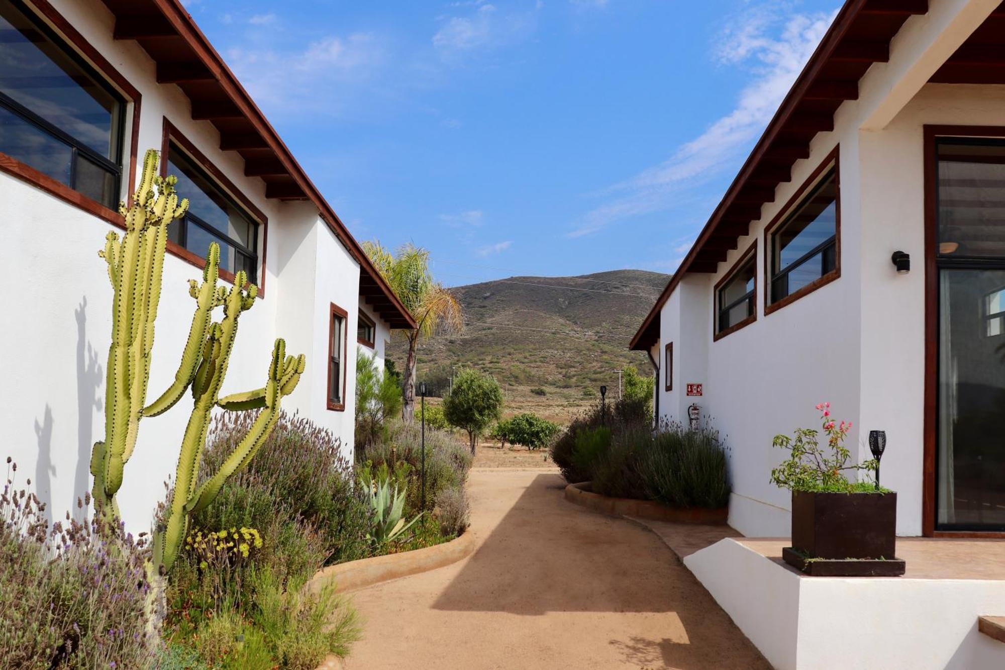 Villa Victoria, Valle De Guadalupe Bagian luar foto