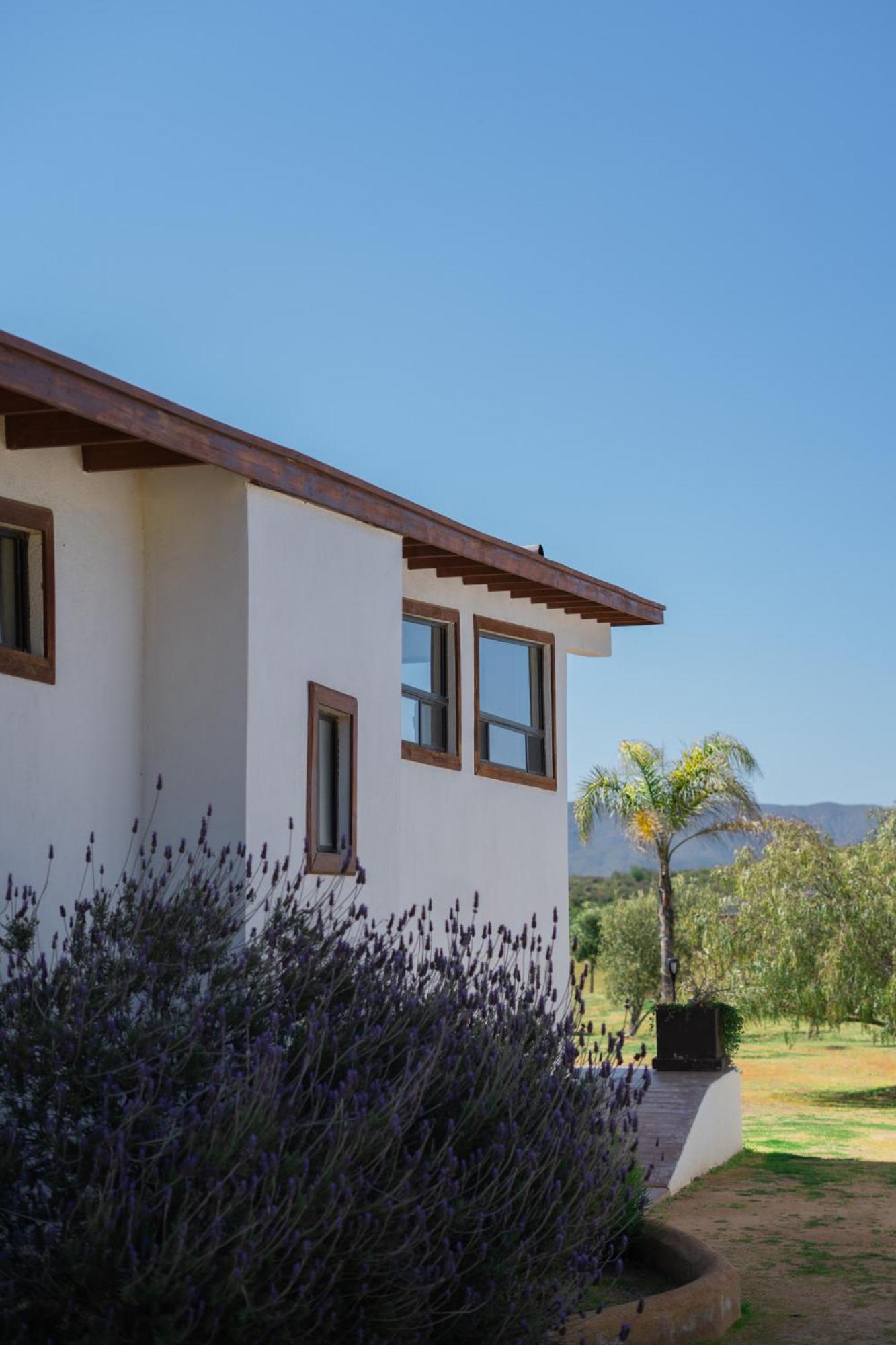 Villa Victoria, Valle De Guadalupe Bagian luar foto