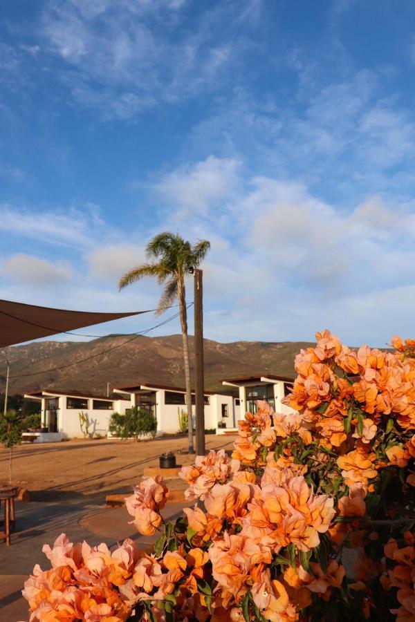Villa Victoria, Valle De Guadalupe Bagian luar foto